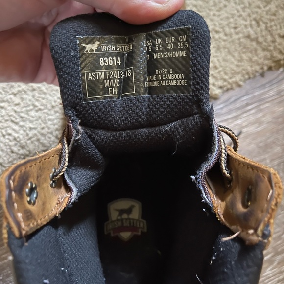 Irish setter 7.5 - Picture 2 of 9